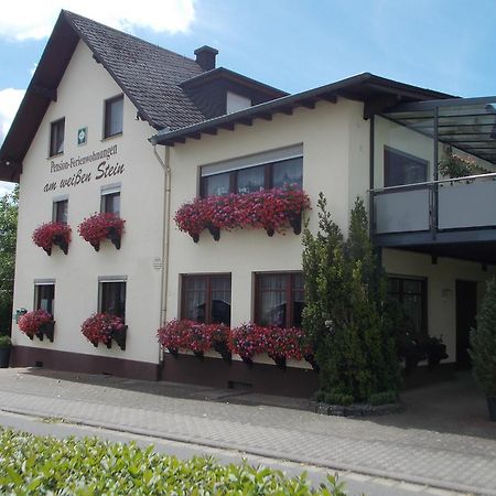 Gaestehaus "Am Weissen Stein" Commune fusionnée de Cochem-Land Extérieur photo