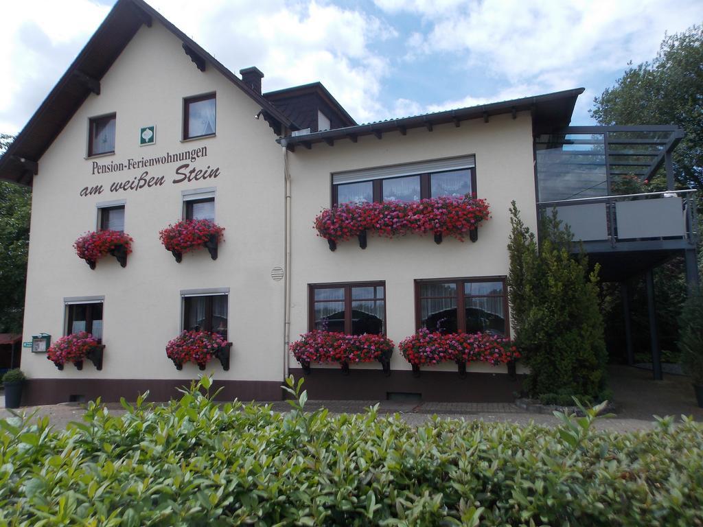 Gaestehaus "Am Weissen Stein" Commune fusionnée de Cochem-Land Extérieur photo